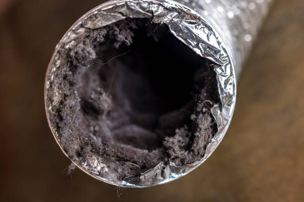  Harrogate, TN Airduct Cleaning Pros