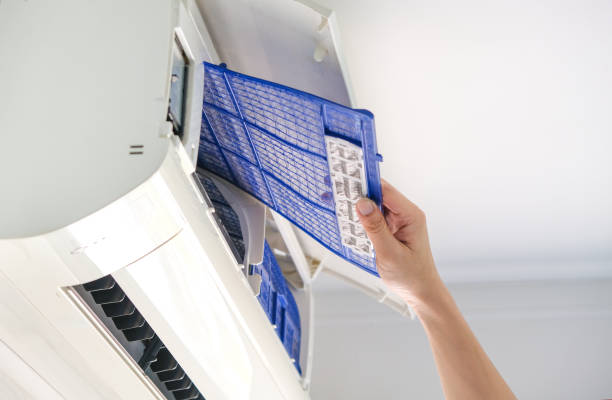 Best Affordable Air Duct Cleaning  in Harrogate, TN