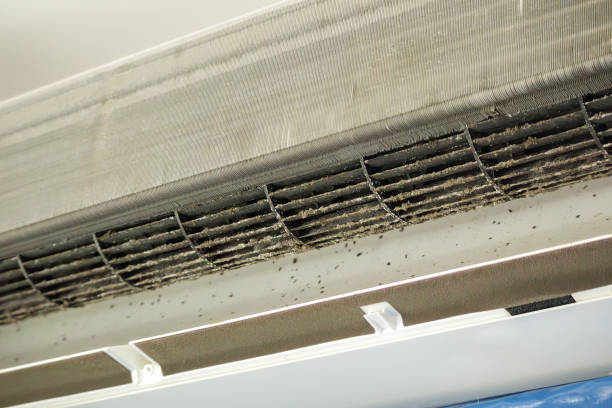Best HVAC Duct Inspection Services  in Harrogate, TN